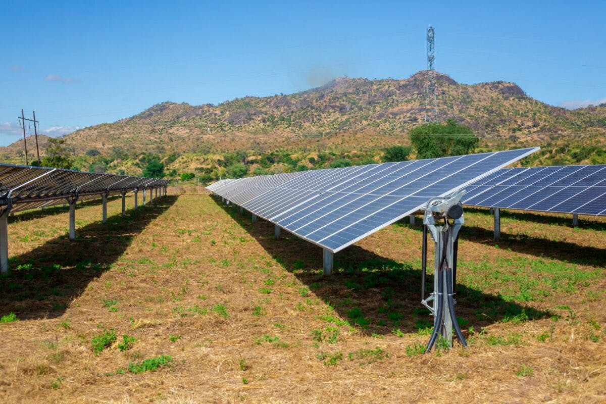 solar panels on field at eye-level