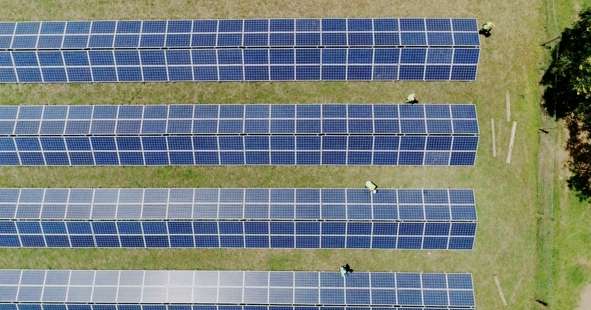 Solar panels seen from above